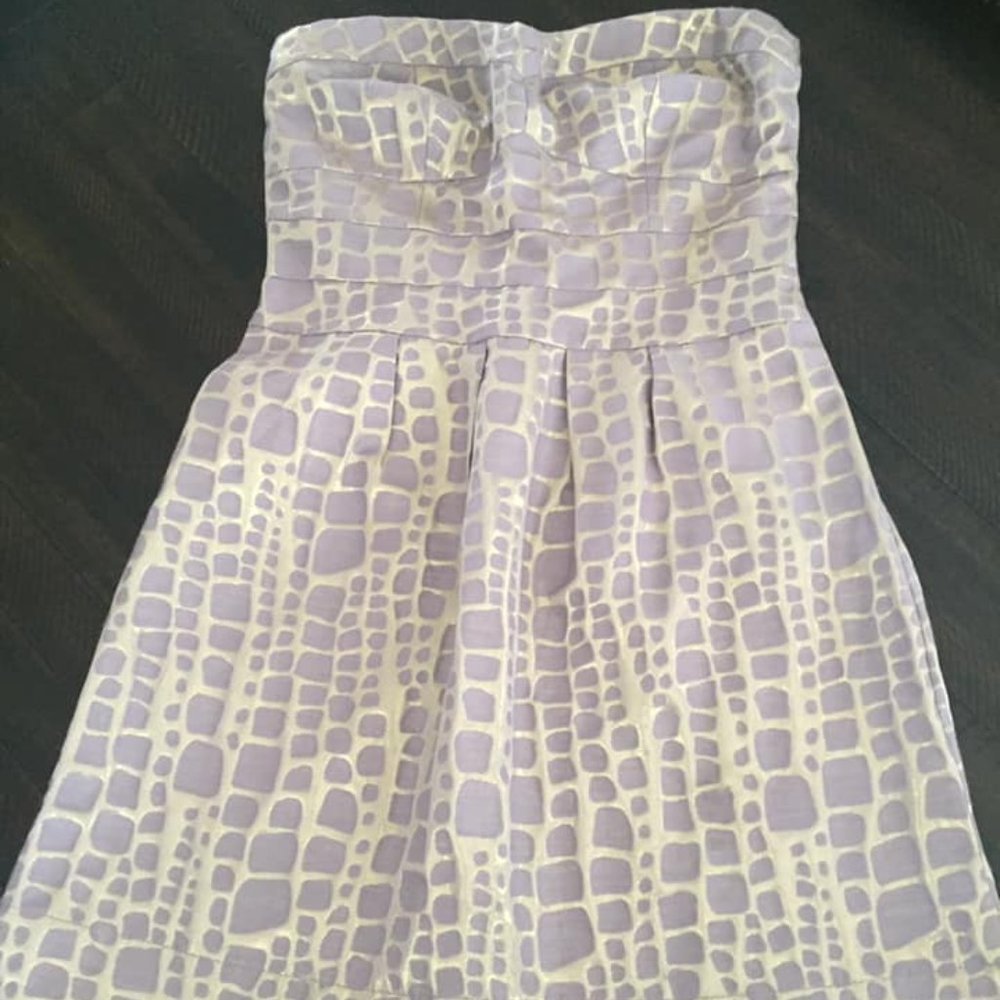 AE Strapless Dress